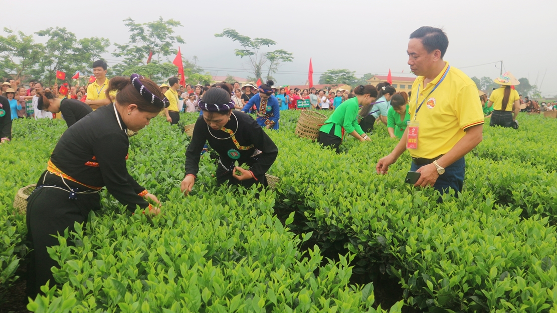 trà đại từ